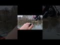 ОКУНИЩЕЕ! #fishing #окунь #рыбалканаспининг