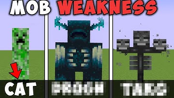 All Minecraft Mobs weakness in Hindi