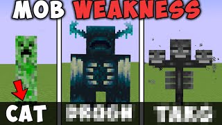 All Minecraft Mobs weakness in Hindi