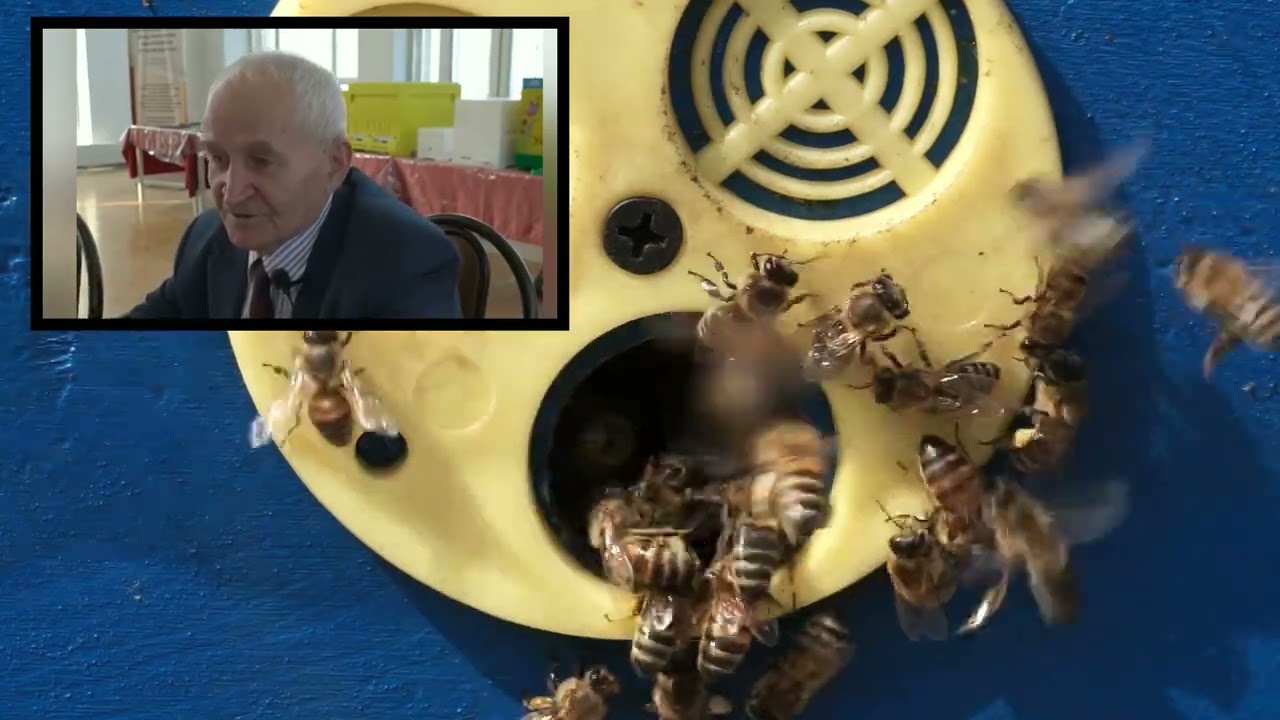 Сахарный сироп 1:1 нельзя давать пчёлам. Какие сорта меда нельзя в зиму.