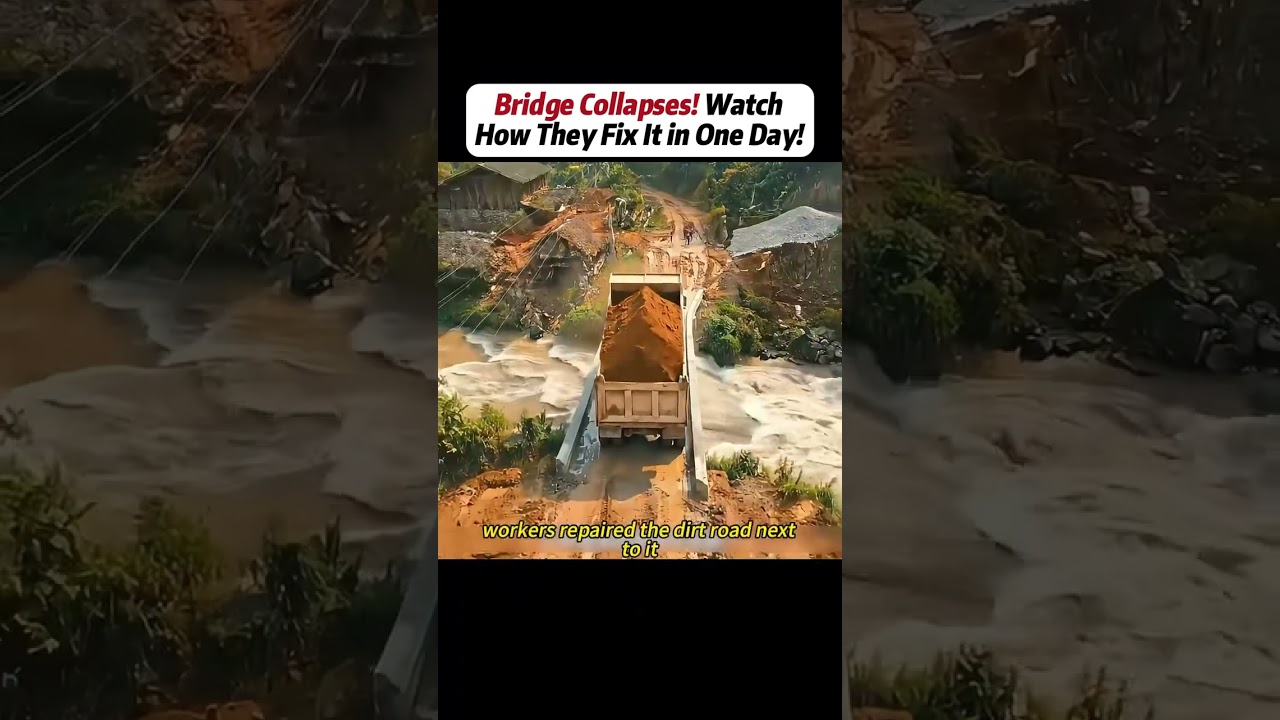 #handwork #Manufacturing #Build #Creativity #Repair #DIY #challenge #Treasurehunt #animalworld