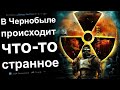 Я СТАЛКЕР И В ЧЕРНОБЫЛЕ ПРОИСХОДИТ ЧТО-ТО ОЧЕНЬ СТРАННОЕ №3