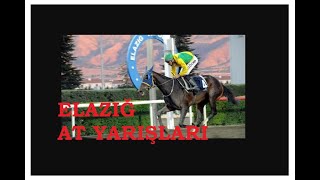 15 EKIM 2025 ELAZIG 1.VE 2.ALTILI GANYAN TAHMINLERI-TJK AT YARIŞLARI (CARSAMBA)