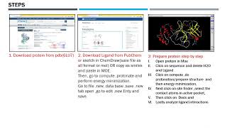MOE Molecular Docking:A Step-by-Step Tutorial for Beginners" Presentation