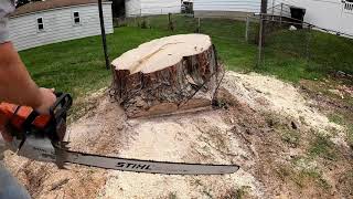 Cutting and Grinding a Stump