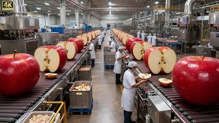 Inside a Modern Apple Factory: From Farm to Fresh Dessert (The Whole Process)