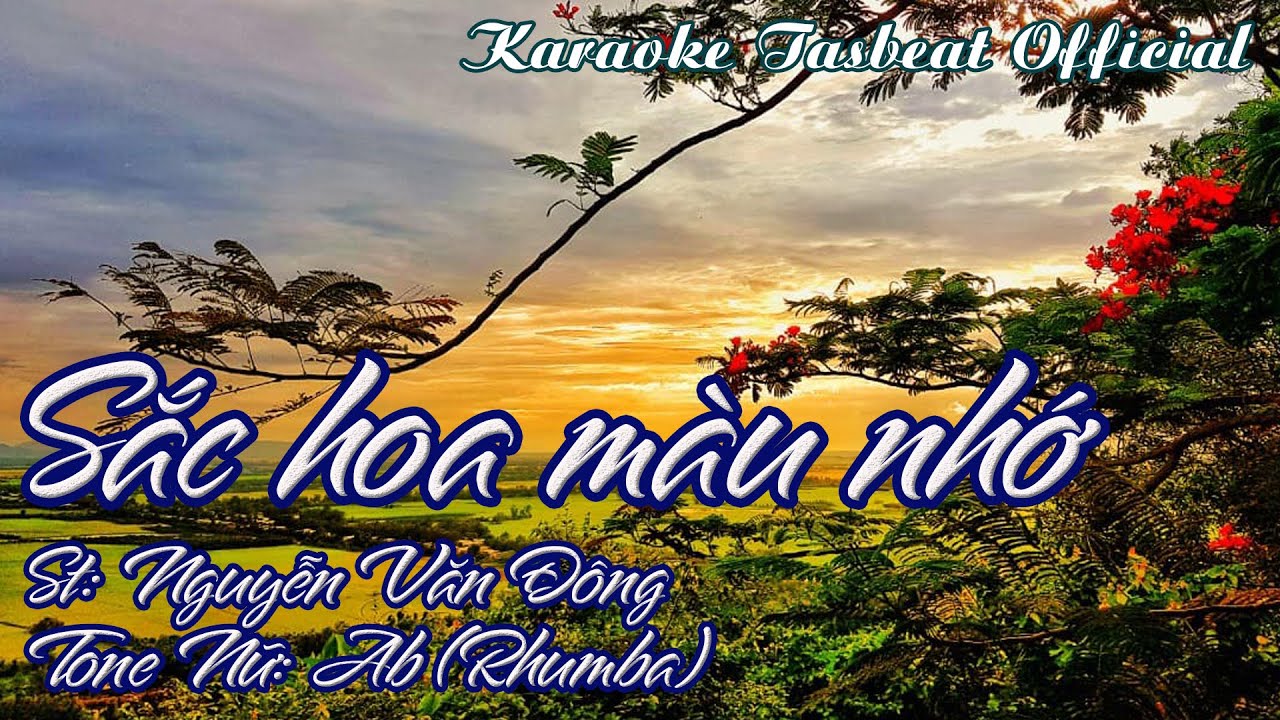 Karaoke Sắc Hoa Màu Nhớ (Rhumba) Tone Nữ | TAS BEAT