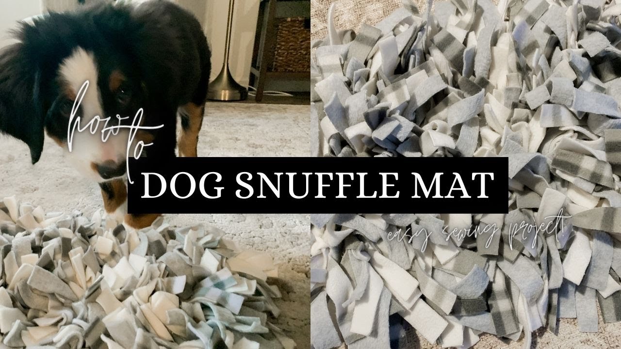DIY Dog Sniffing Puzzle Mat 