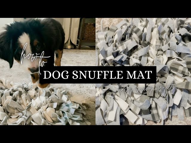 DIY: Make Your Dog (or Cat) a Snuffle Mat – The Honest Kitchen