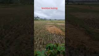 Download Lagu #dangdut #musik #pejuang #tembangjawa MP3 Download Lagu #dangdut #musik #pejuang #tembangjawa MP3