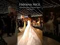 Wedding Party in Cabo | Live Band “Un Verano en Nueva York” StyleHAVANA NICE #cabodestinationwedding