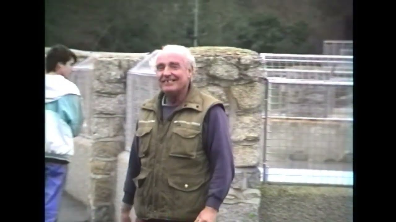 50 years of the Cornish Seal Sanctuary at Gweek