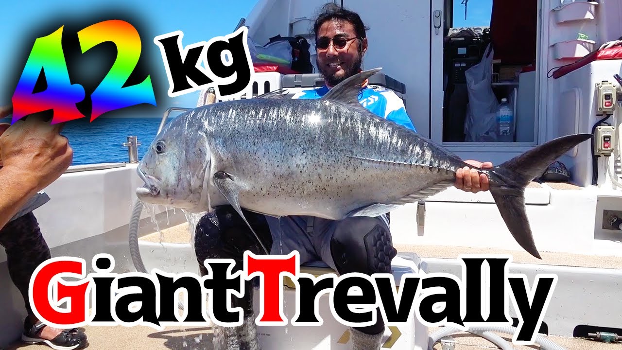 【トカラ列島GT釣り】これが釣り人の夢の魚ジャイアントトレバリー！！！