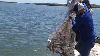 pesca a tarralla salieron buenos tarrasos 🐟🐠💯🇲🇽 