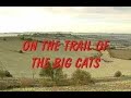 On the Trail of the Big Cats