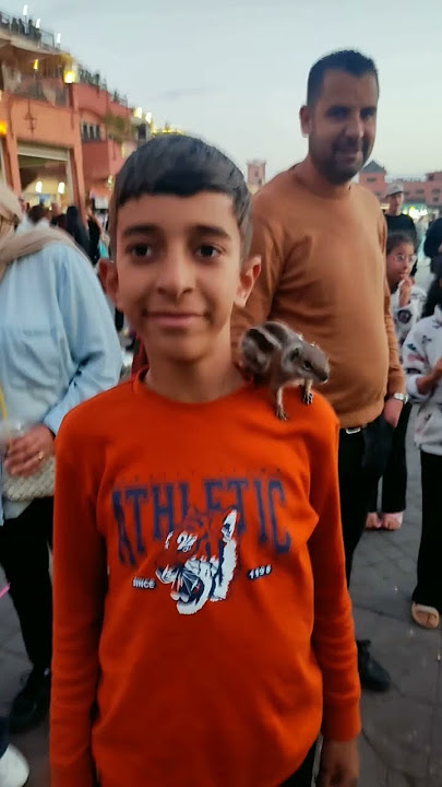 jamaa el fna --- Argana