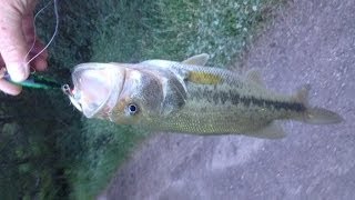 Rods And Reel Good Times - Featuring The Rebel Teeny Pop-R