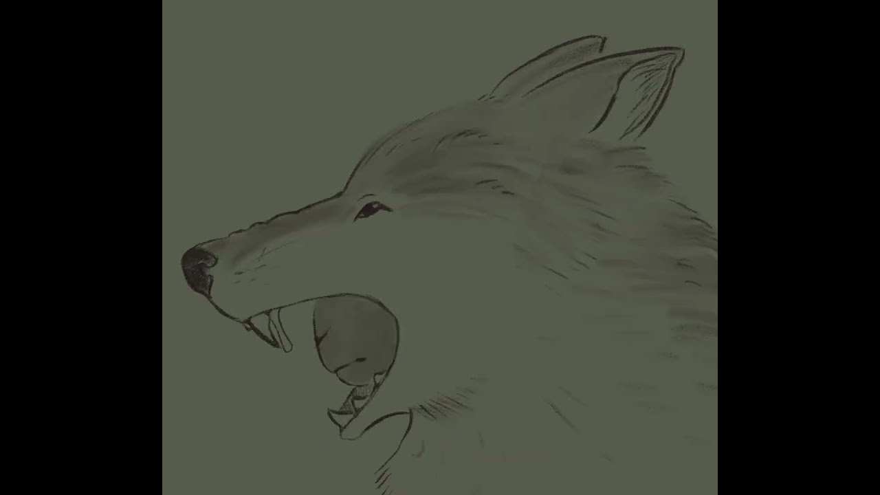 The Wolf and the Ewe (animation clip)