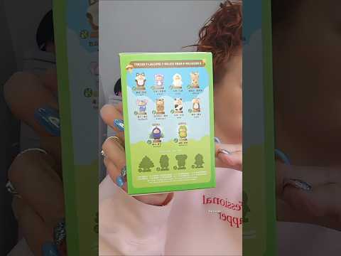 Link Found In Description Unboxingtoys Blindbox Mysterybox Collectibles Piggylulu Pigs 