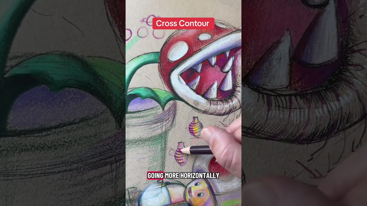 Основы поперечного контура 