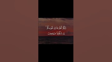 قران كريم الدال على الخير كفاعله اكتب شيء تؤجر عليه #قرآن #المصحف