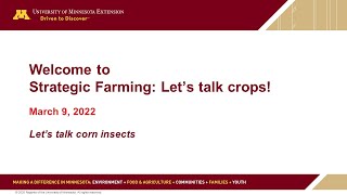 Strategic Farming 2022: Let's talk corn insects