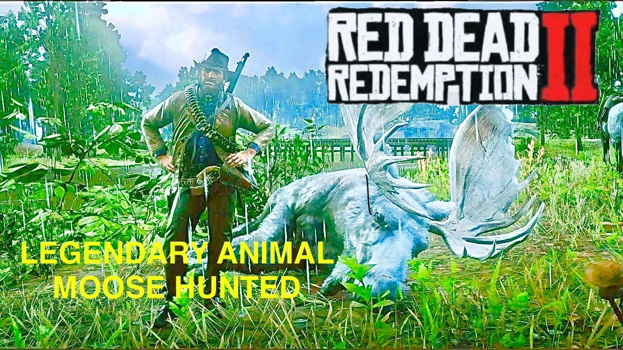#ARTHURMORGAN HUNTS THE LEGENDARY ANIMAL MOOSE | RED DEAD REDEMPTION 2 ...