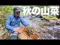 【水こぶ】謎の山菜おじさんと秋の山菜採り