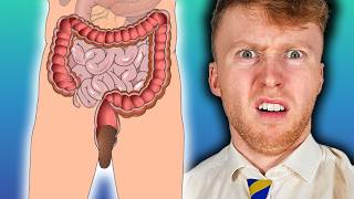 How Does Your Body Turn Food Into Poop?