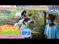 "เลี้ยงแพะ"นอนดินรอบกองไฟ แบบง่ายๆแต่ได้ผลจริง!!กับลุงหวิน ขอนแก่นEP.2 | ตามไปเบิ่ง