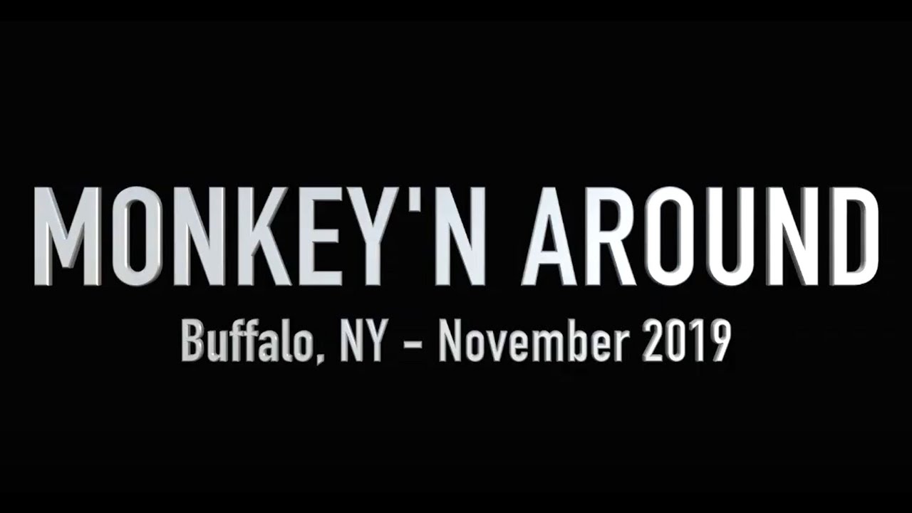 Monkey'n Around | November, 2019