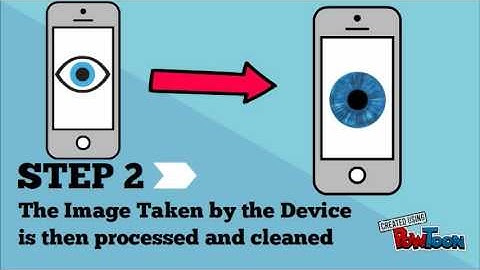 Computational Artifact