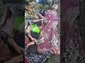مصطفى رحيم پور سياهكلى