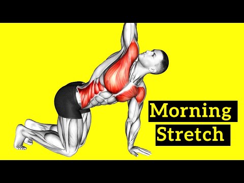 Stretching Exercises