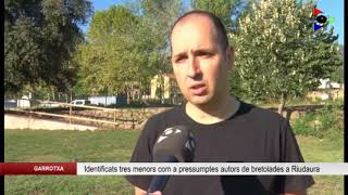 Identifiquen Un Grup De Joves Com A Pressumptes Autors De Destrosses A Riudaura