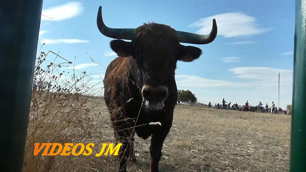 ¡Lo Mejor del Año 2022.!!! Septima Parte