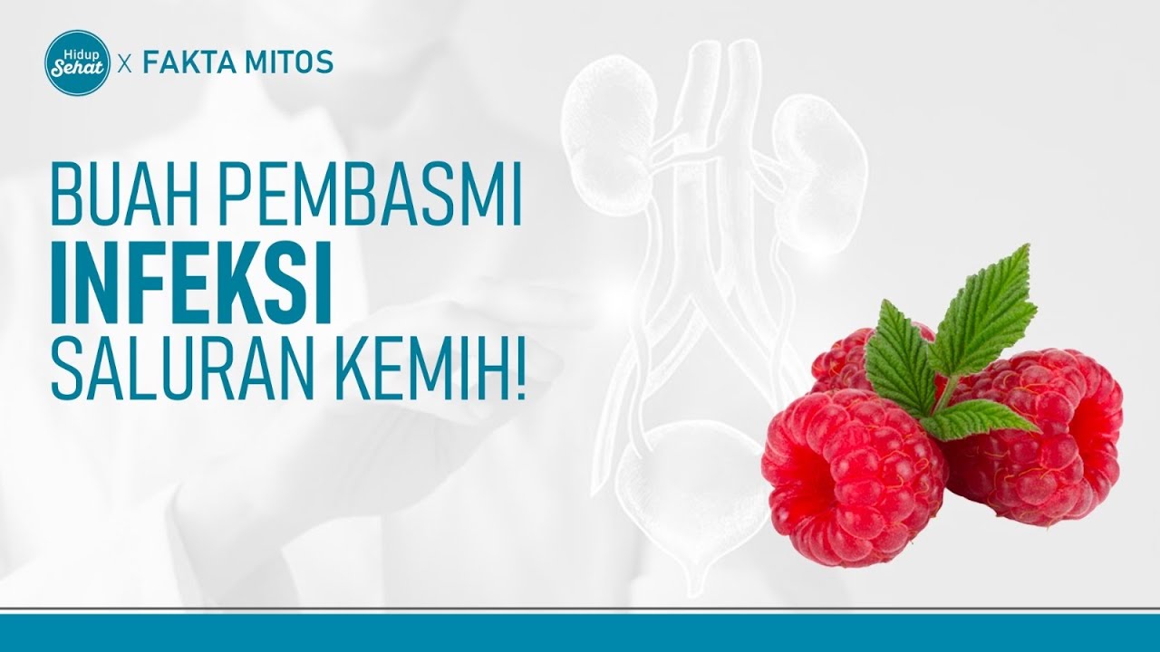 Gejala dan Cara Alami Mengatasi Infeksi Saluran Kemih | Hidup Sehat