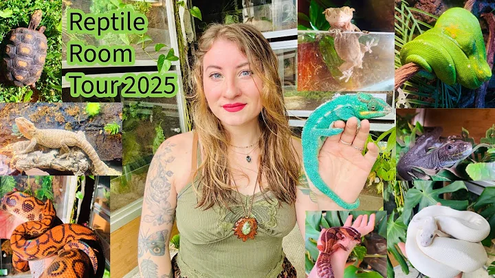 Reptile Room Tour 2025!!!