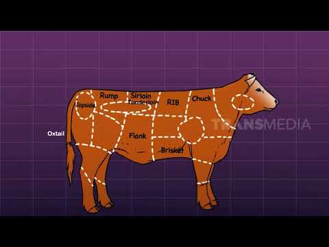 Warna Daging Anak Sapi