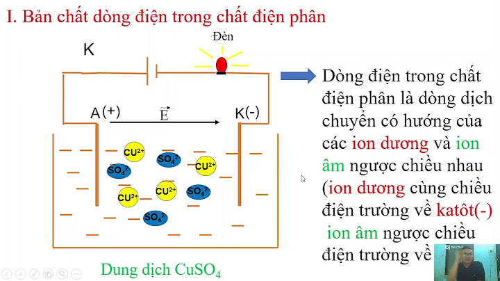 Hạt tải điện trong chất điện phân là hạt gì năm 2024