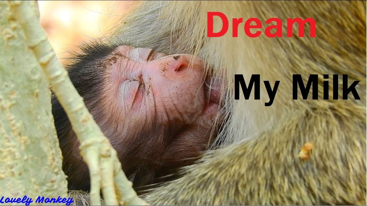 Update 10.03.2019: Newborn Baby  Nelson 0ver Nap ,N0 Reaction!!  How Cute Newborn baby Nelson .