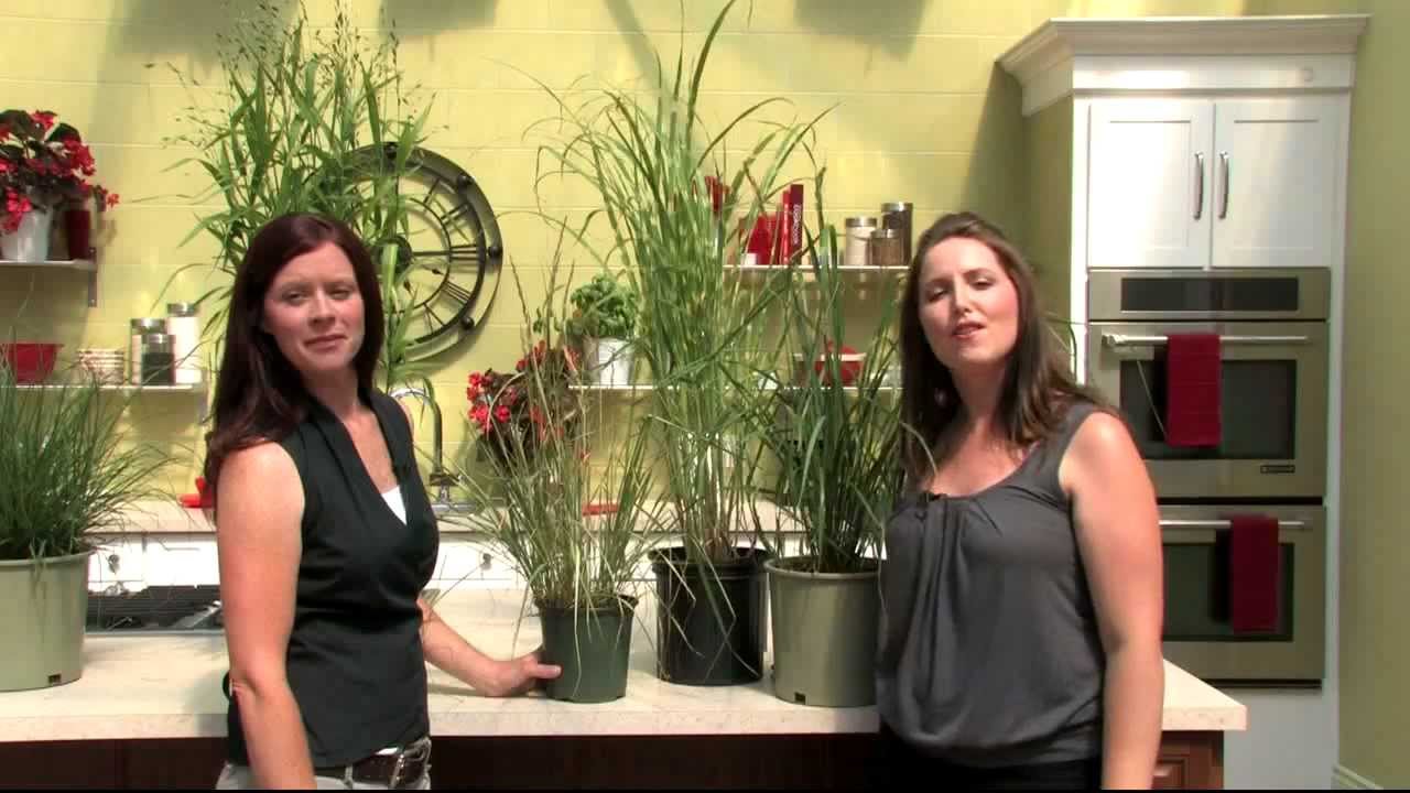 TERRA @ Home Season 2 Show 19