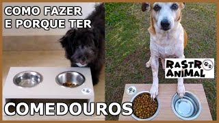 Como Fazer e Porque Comprar Comedouro para o seu PET | DIY