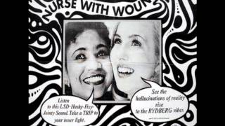 Nurse With Wound - Two Shaves and a Shine