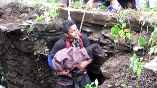 Dog sobs when she sees rescuer coming to save her.