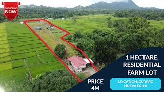 (V202) 1 HECTARE, RESIDENTIAL FARMLOT, PRICE 4M, LOCATION CUYAPO NUEVA ECIJA