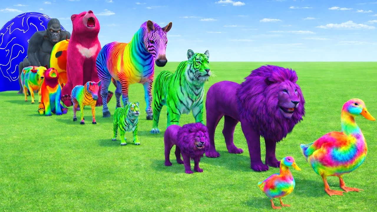 Long Slide And Animals Fountain Crossing 3D Animals Magical Fountain 