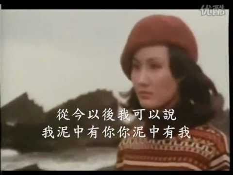 劉文正-你儂我儂