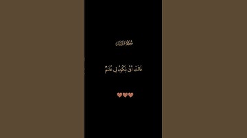 سورة مريم / القارئ سعود الفايز / تلاوة خاشعة تريح سمعك وقلبك