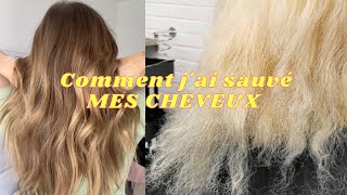 Comment Jai Sauvé Mes Cheveux